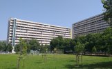 Toulouse le Mirail - Reynerie - barres non condamnées (pour l'instant ?)