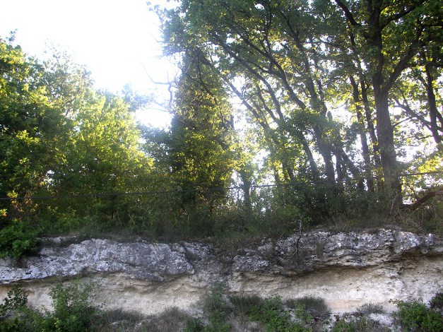 Garrigue sur une tuque de Lagarrigue