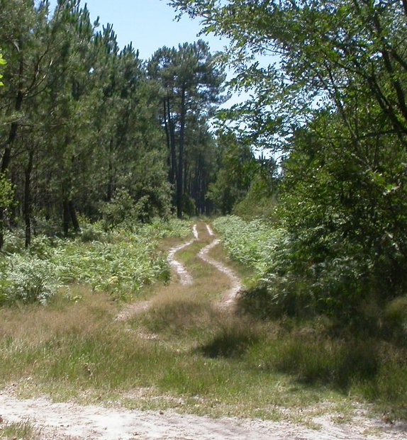 Pélebusoc en 2017 : le chemin qui part vers le sud