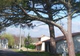 Saint-Selve - Houncroyse