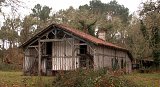 Losse - Estampon - Autre landaise typique