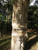 Baudignan - Panneaux de bois sur un chêne liège, pour "LOUS MOURES" et "NINON"