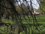 Saint-Loubès - ruisseau de Canterane ; au fond, la Motte