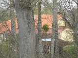 Marcellus - Bonnefon, un colombage entraperçu...