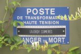 Coimères - Lajordy : haute tension et crabehuste (chèvrefeuille)