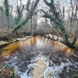 Lerm-et Musset : le Barthos en aval du Mouliot