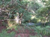 Sos - Saint Pau - vue plongeante sur la Gueyze près du Goua dous Passans
