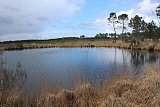 Saint-Magne - lagune du Clot ahoundat
