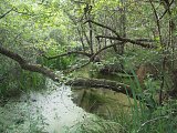 Arx - près du Goua dous Passans