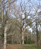 sos-dubarry-casso-6a66d.jpg?1699472229