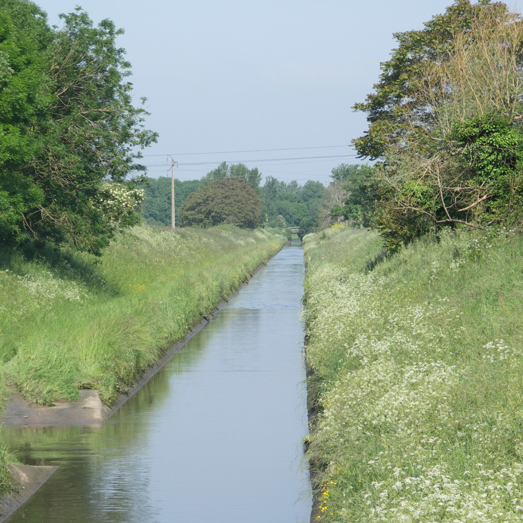 L'Estey du Gua dans la commune d'Ambarès et Lagrave