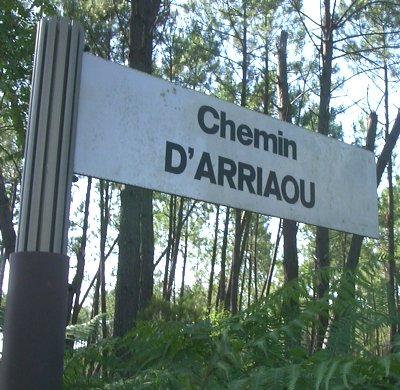 Biscarrosse - Chemin d'Arriaou