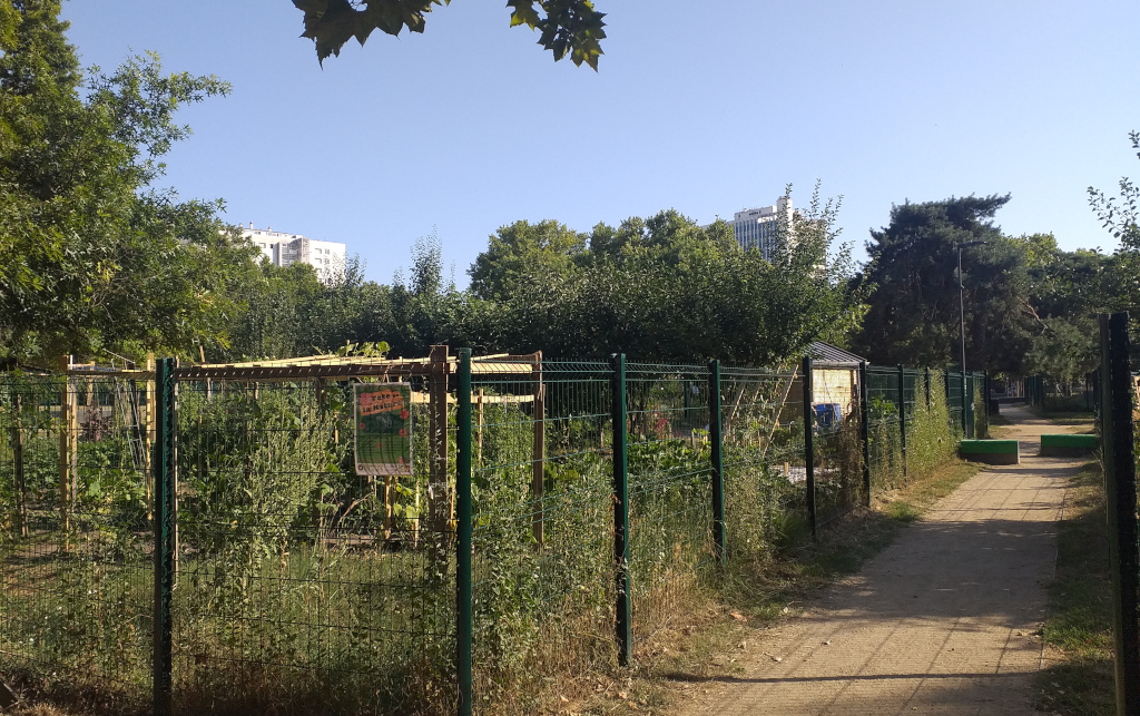 Bordeaux / Bordèu - Grand Parc, jardins familiaux (2025)