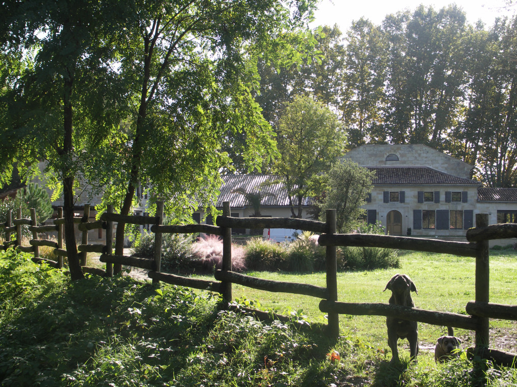 Fronsac - Bastisse du Port Drouet aperçue depuis le chemin du Palua