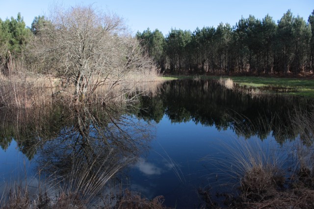 Hourtin - lagune Millot