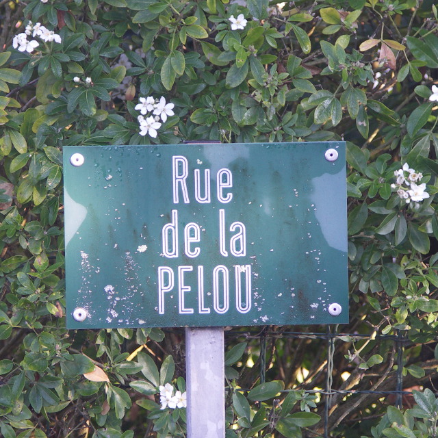 Laboueyre - rue de la Peloue