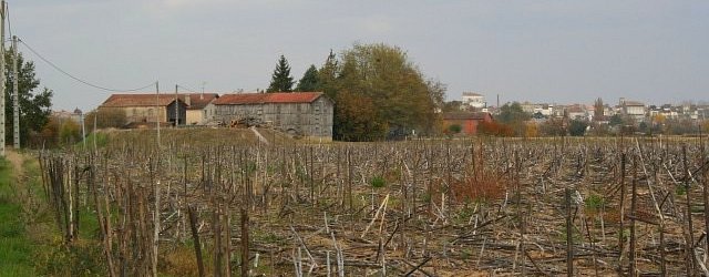 Villeton - Le Brésillan vu du sud