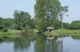 Ambarès - un estanh de pesca vist dau "chemin de Coude"