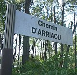 Biscarrosse - Chemin d'Arriaou