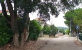 Buzet - chemin de Baqué