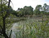 Arsac - lagune deCastillon